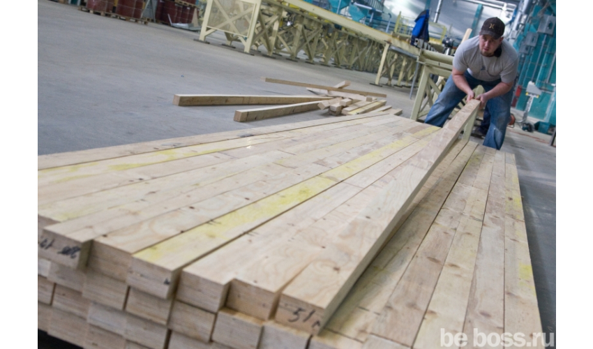 Prema riječima stručnjaka, drvena stambena izgradnja kao jedna od grana drvne industrije u zemlji ima dobre izglede za rast.